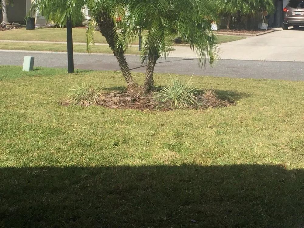 Top-rated landscape installation in Fleming Island, FL by Advanced Lawn Technology