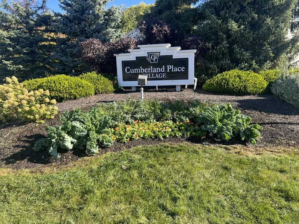 Custom outdoor landscaping experts serving Greenwood, IN - Advanced Maintenance Professionals