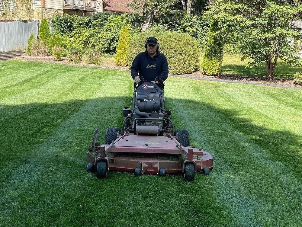 Local yard cleanup service experts serving Greenwood, IN - Advanced Maintenance Professionals