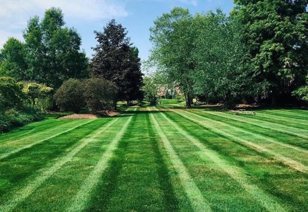 Custom garden landscaping for beautiful yards in Greenwood, IN by Advanced Maintenance Professionals