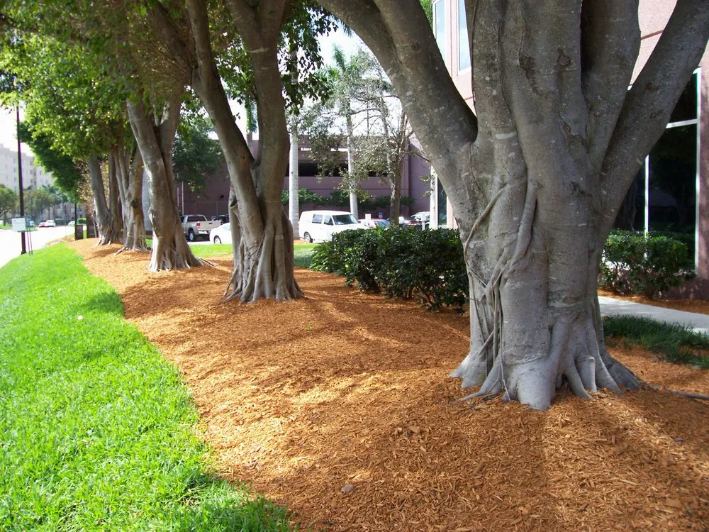 Top-rated landscape installation in Boynton Beach, FL - Advanced Mulch