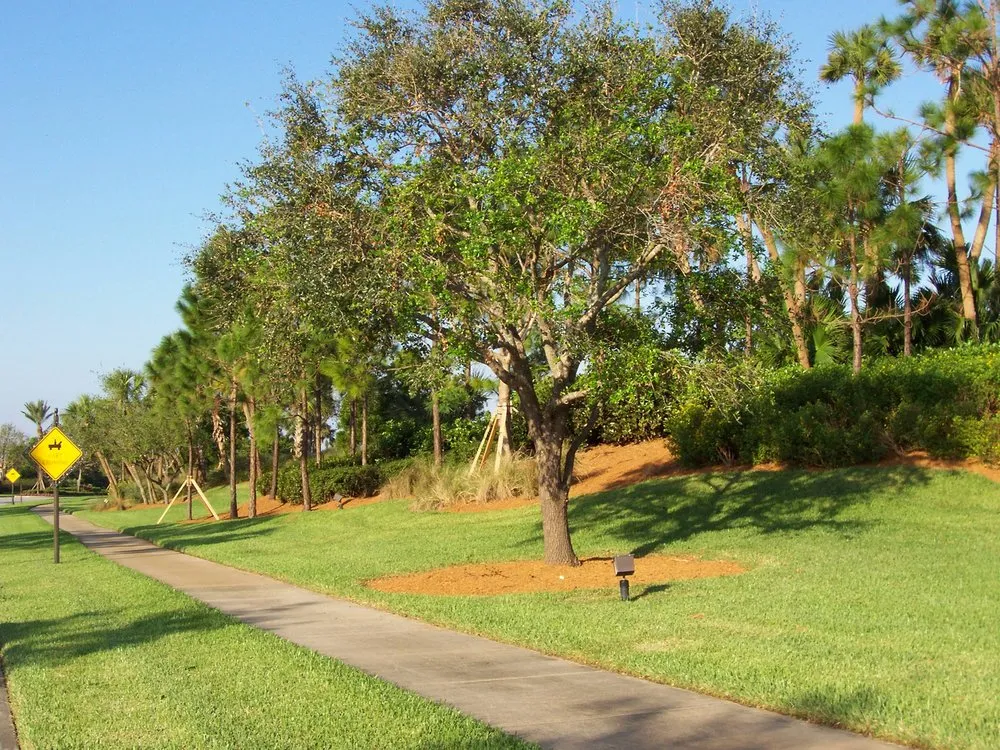 Trusted garden landscaping experts serving Boynton Beach, FL - Advanced Mulch