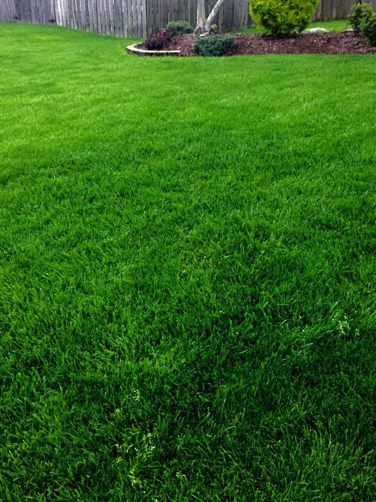 Trusted landscape installation in Lebanon, OH by Advanced Nutrient Lawn Services