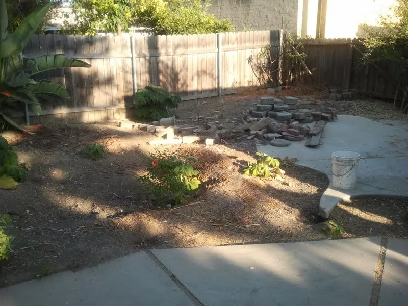 Local landscape design for year-round maintenance across Dana Point, CA - Advanced Pacific Landscape