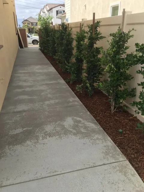 Top-rated landscape installation in Dana Point, CA - Advanced Pacific Landscape