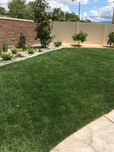 Reliable residential landscaping in Dana Point, CA - Advanced Pacific Landscape