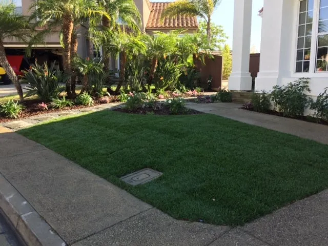 Professional lawn mowing service in Dana Point, CA - Advanced Pacific Landscape
