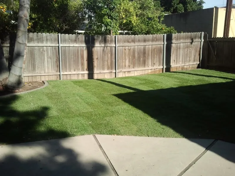 Expert yard cleanup service for residential properties in Dana Point, CA by Advanced Pacific Landscape