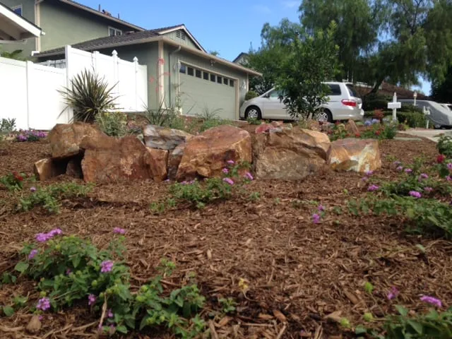Professional yard maintenance for beautiful yards across Dana Point, CA - Advanced Pacific Landscape