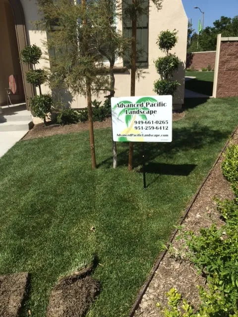 Top-rated lawn mowing service experts serving Dana Point, CA - Advanced Pacific Landscape