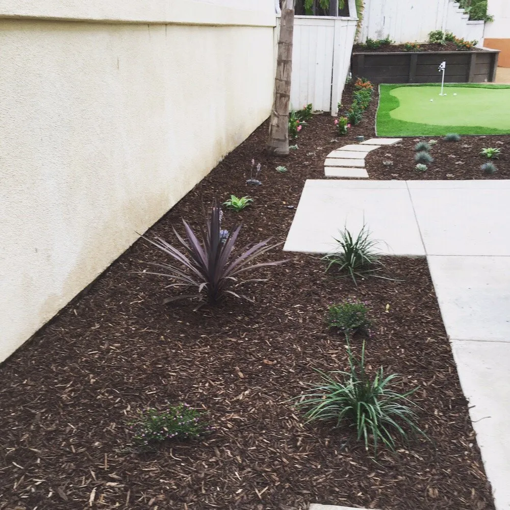 Affordable yard maintenance in Dana Point, CA - Advanced Pacific Landscape