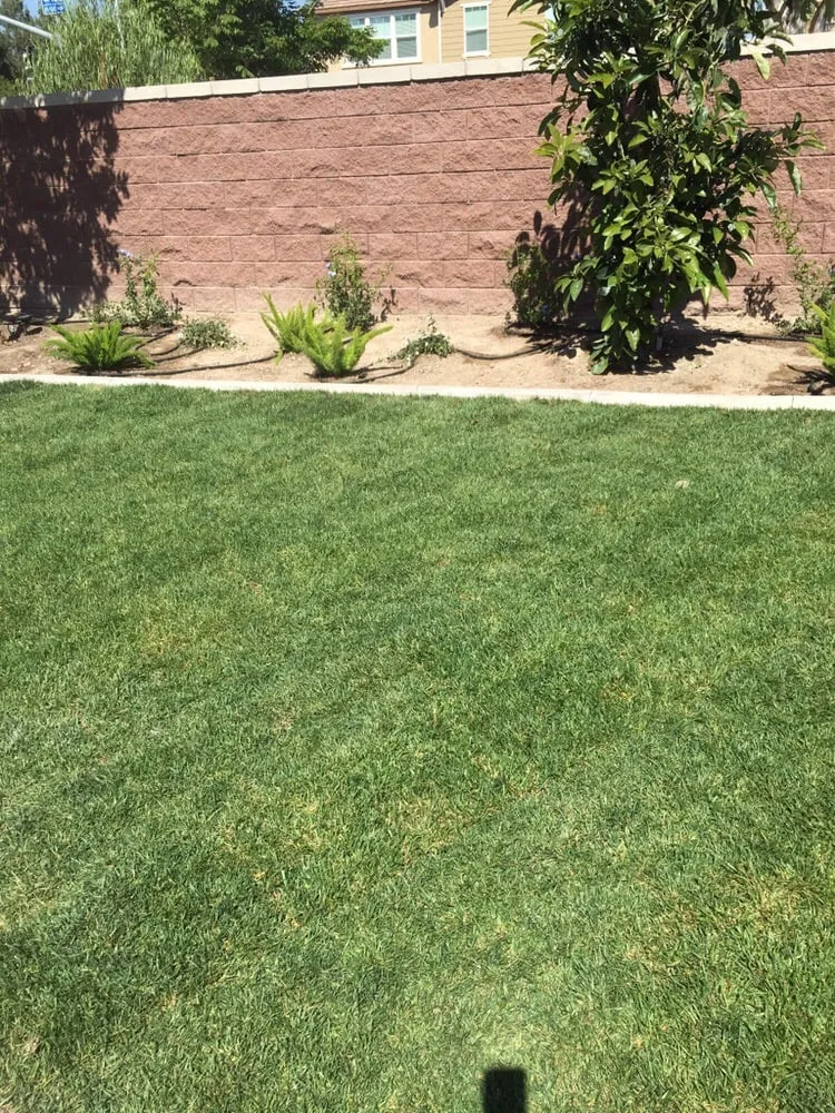 Top-rated lawn mowing service for outdoor upgrades across Dana Point, CA - Advanced Pacific Landscape