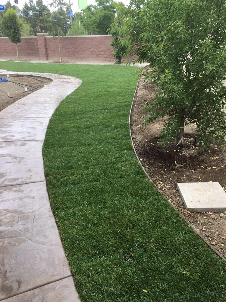 Reliable garden landscaping experts serving Dana Point, CA - Advanced Pacific Landscape