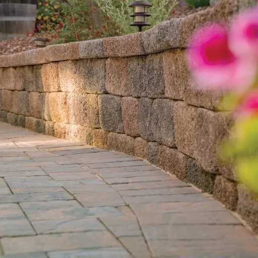 Affordable lawn care service for homes in Sacramento, CA by Advanced Pavers & Landscape