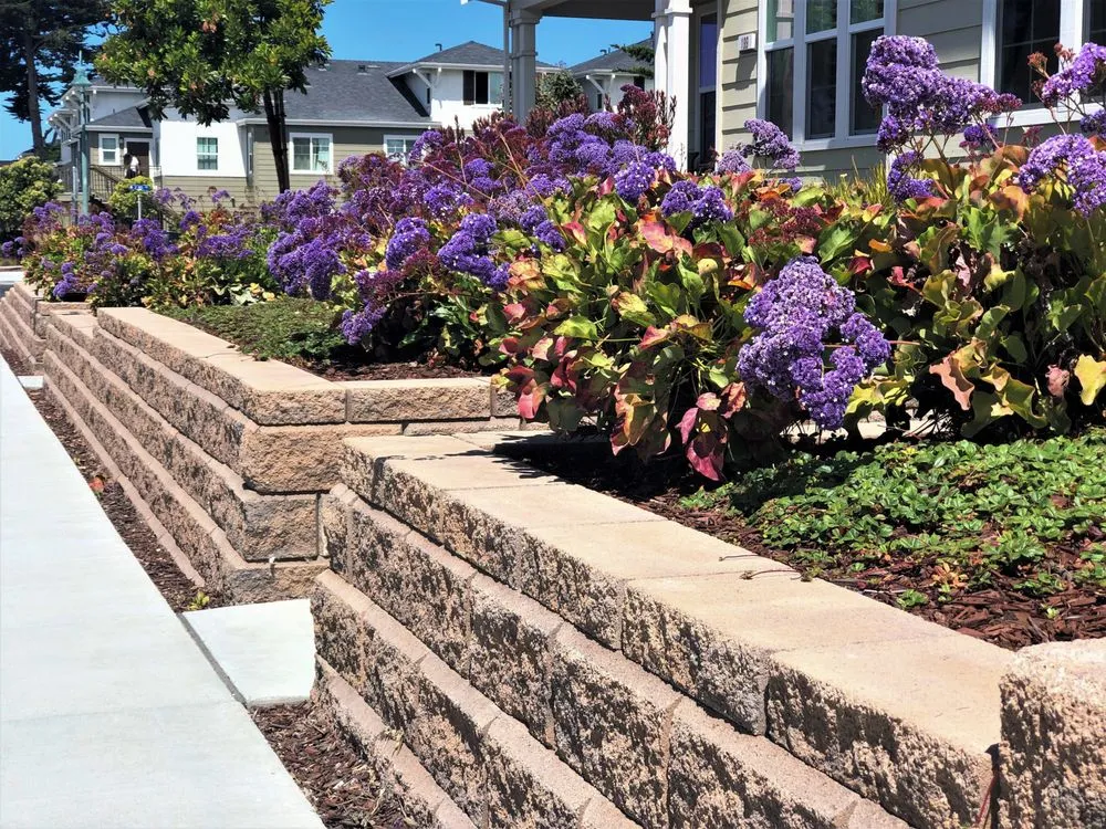 Custom landscape design in Sacramento, CA - Advanced Pavers & Landscape