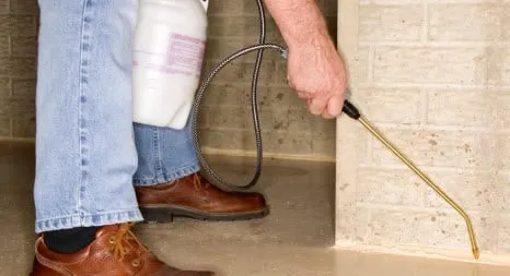 Professional yard cleanup service in Carlsbad, NM by Advanced Pest & Weed Management