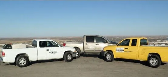 Top-rated yard cleanup service in Carlsbad, NM - Advanced Pest & Weed Management