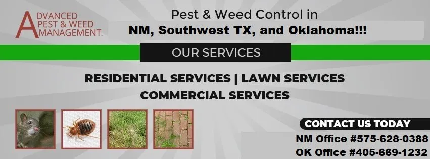 Trusted landscaping services in Carlsbad, NM by Advanced Pest & Weed Management