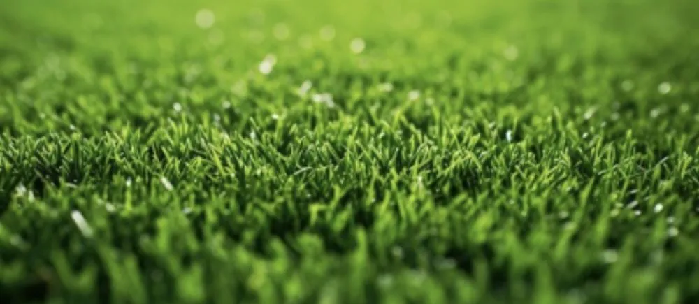 Expert outdoor landscaping for residential properties across La Grange, KY - Advanced Pressure Washing