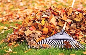 Expert landscaping services in Menomonie, WI - Advanced Property Care