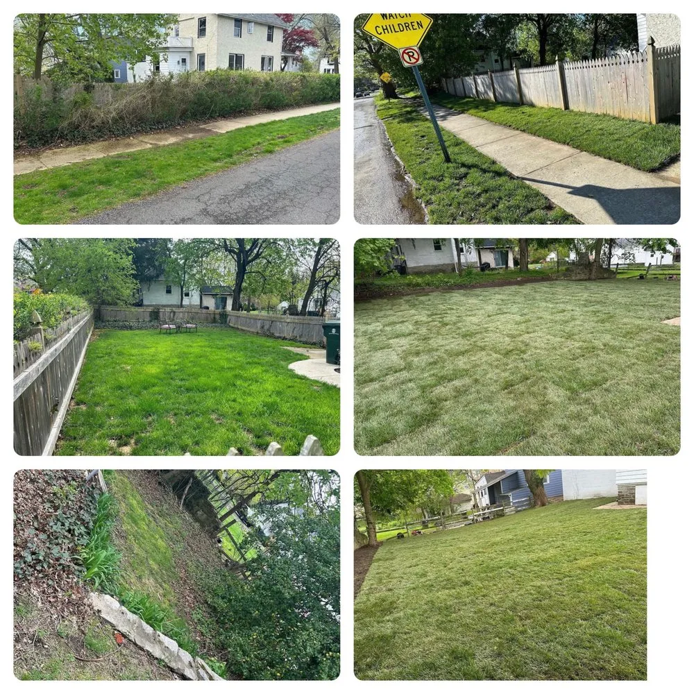 Custom residential landscaping in Philadelphia, PA - Advanced Property Enhancement