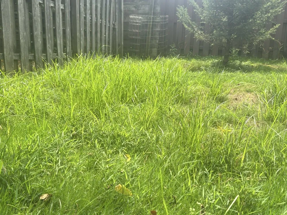 Affordable outdoor landscaping near you across Richfield, OH - Advanced Quality Lawn