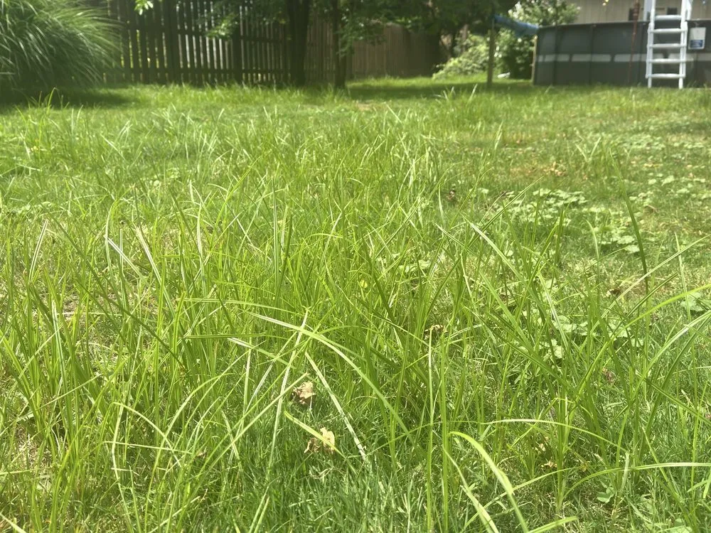Reliable lawn mowing service in Richfield, OH by Advanced Quality Lawn