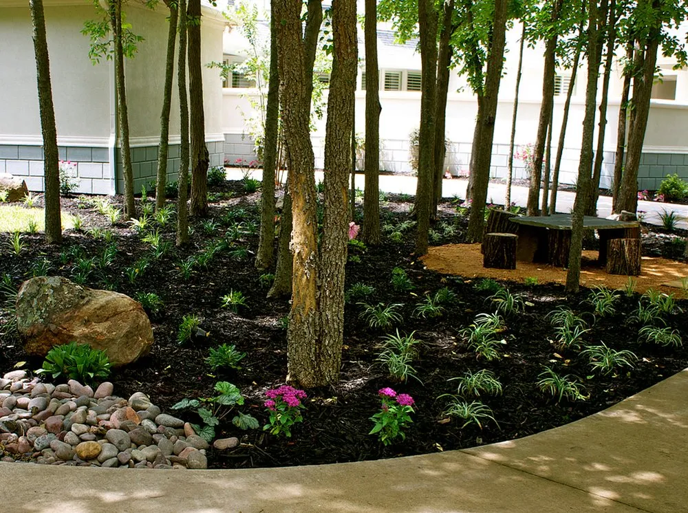 Expert residential landscaping in Plano, TX - Advanced Sprinkler & Landscape Services