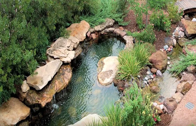 Reliable yard maintenance for beautiful yards in Plano, TX by Advanced Sprinkler & Landscape Services