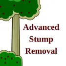Reliable landscape installation experts serving Mountain Home, AR - Advanced Stump Removal