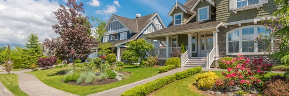 Expert outdoor landscaping for residential properties in Tampa, FL by Advanced Tree & Landscape Services