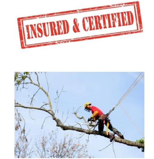 Trusted garden landscaping experts serving Sarasota, FL - Advanced Tree & Lawn Systems