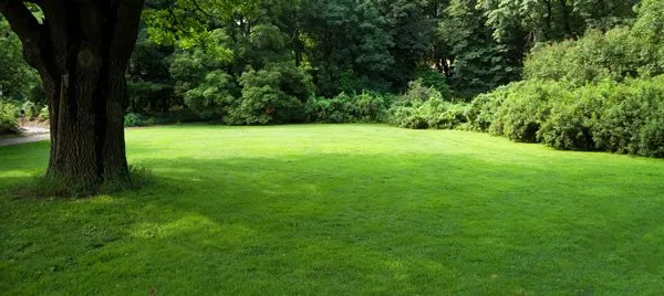 Professional garden landscaping with custom design across Amarillo, TX - Advanced Tree and Turf