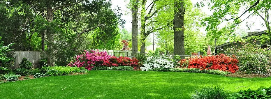 Top-rated landscape design in Amarillo, TX by Advanced Tree and Turf