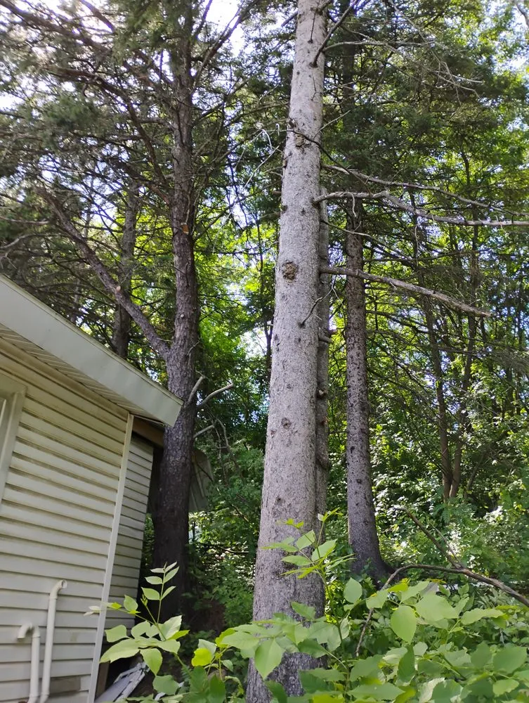 Expert residential landscaping for year-round maintenance in Virginia, MN by Advanced Tree Care And landscaping