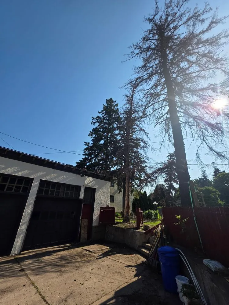 Local landscape design in Virginia, MN by Advanced Tree Care And landscaping