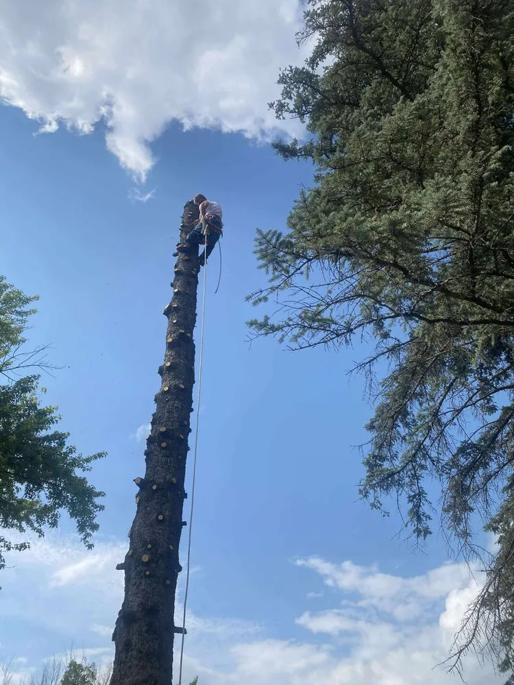 Local residential landscaping for outdoor upgrades in Virginia, MN by Advanced Tree Care And landscaping