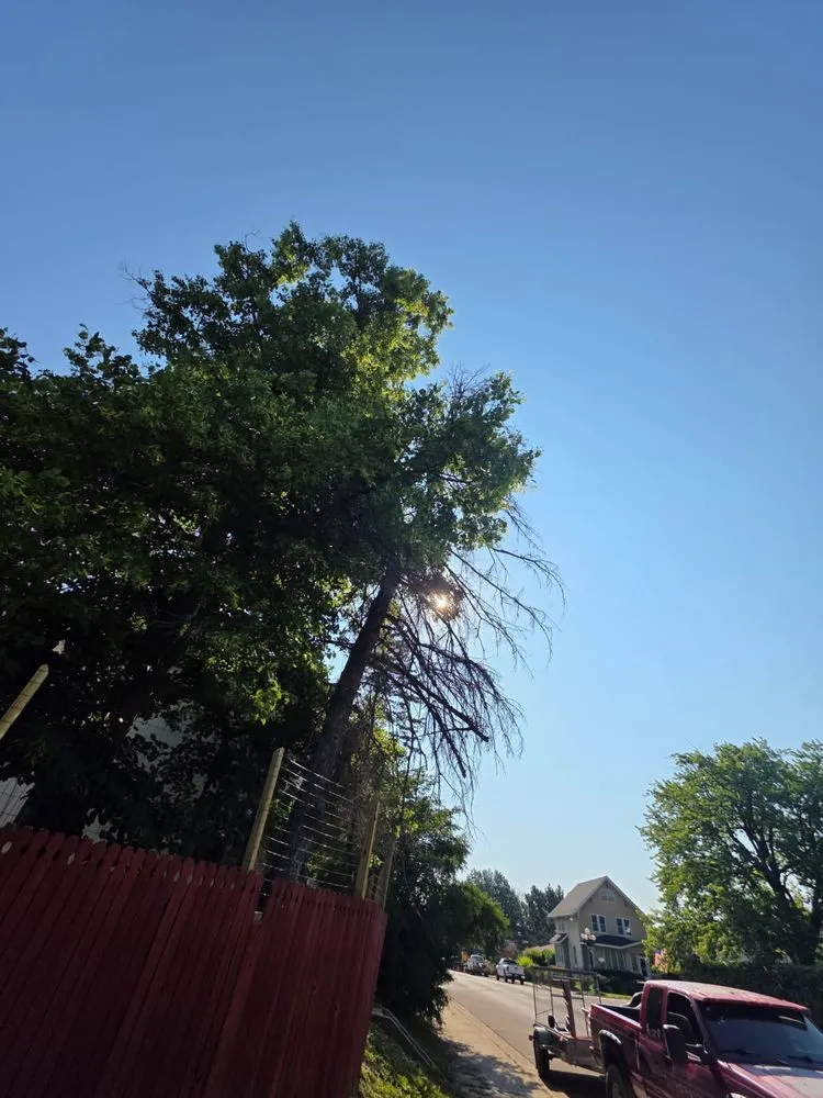 Local lawn mowing service in Virginia, MN by Advanced Tree Care And landscaping