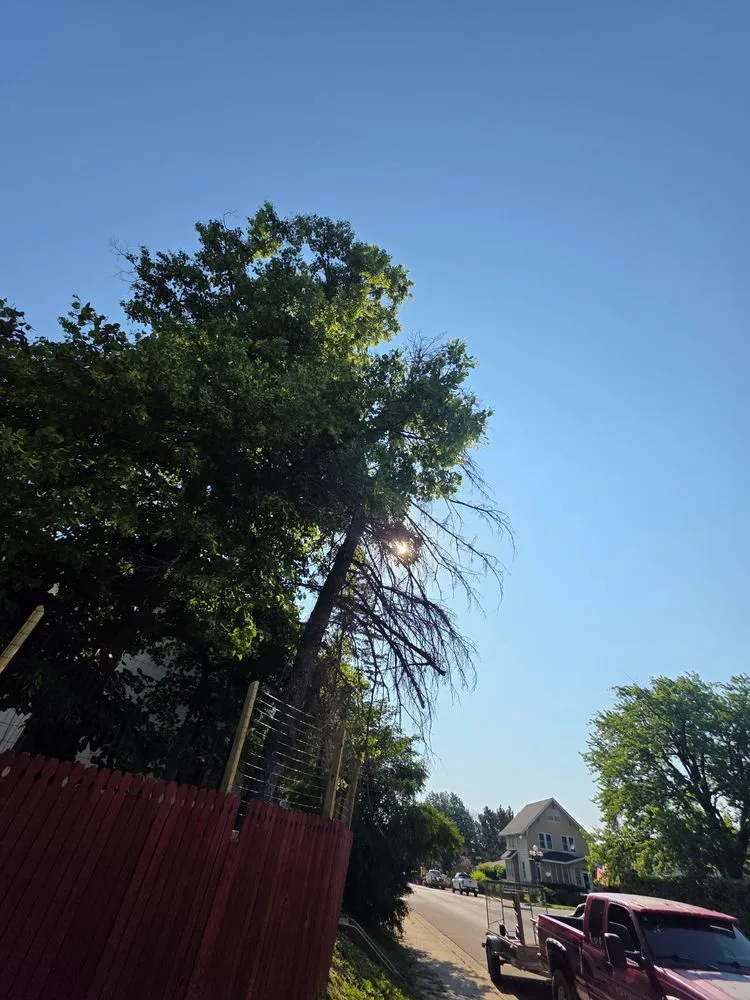 Reliable outdoor landscaping experts serving Virginia, MN - Advanced Tree Care And landscaping