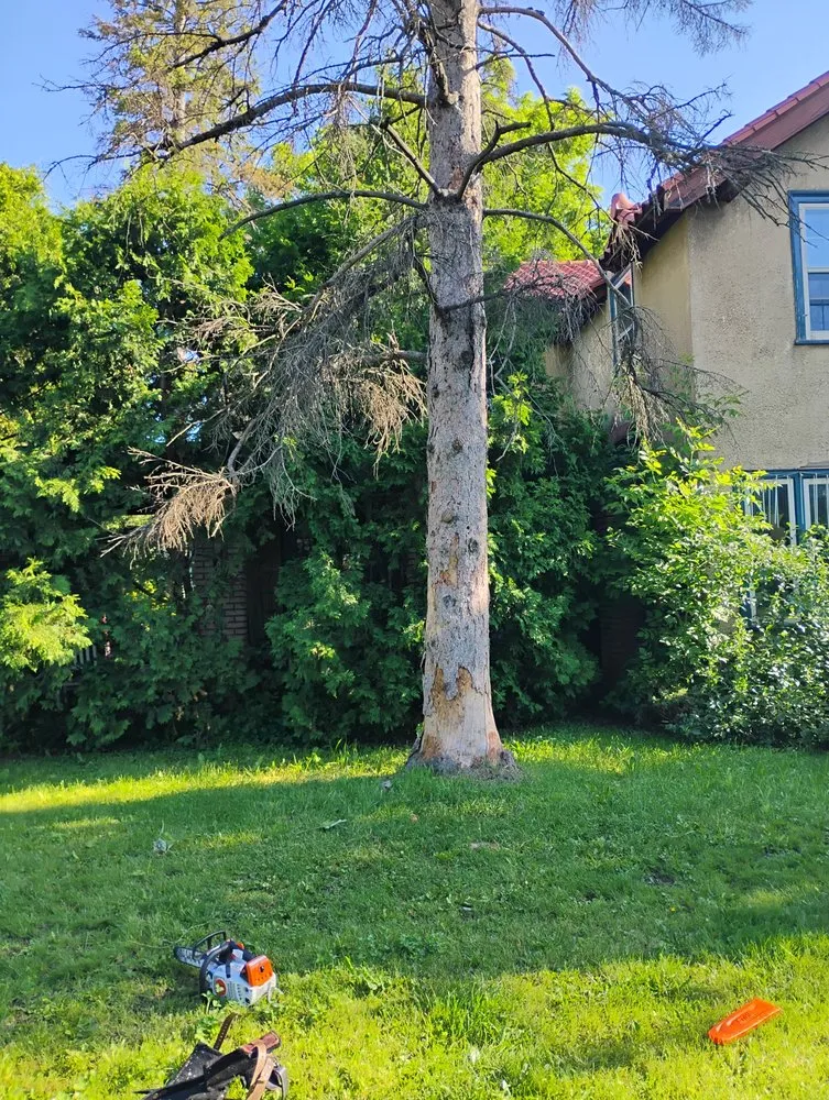 Top-rated lawn mowing service in Virginia, MN - Advanced Tree Care And landscaping