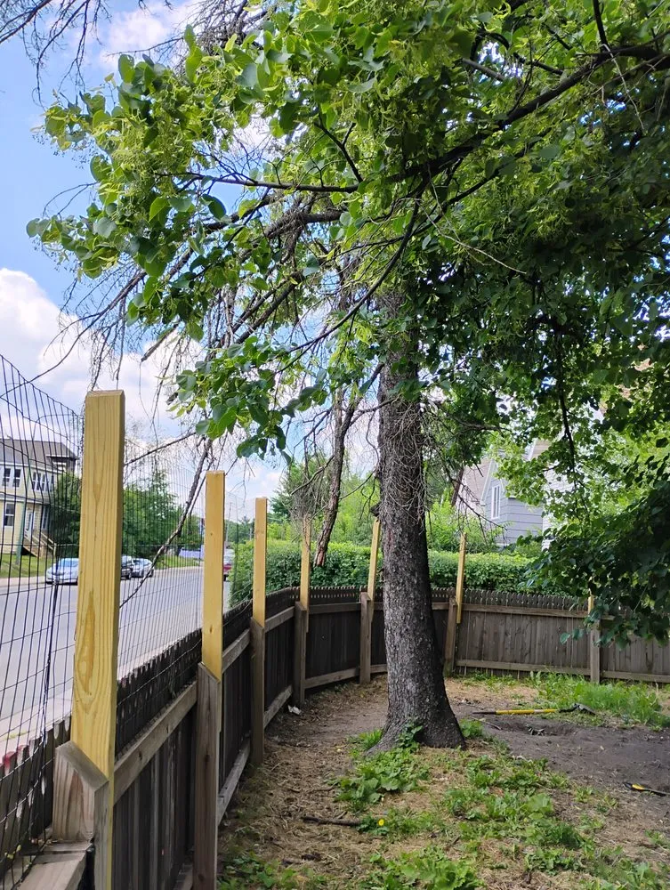 Custom lawn mowing service experts serving Virginia, MN - Advanced Tree Care And landscaping