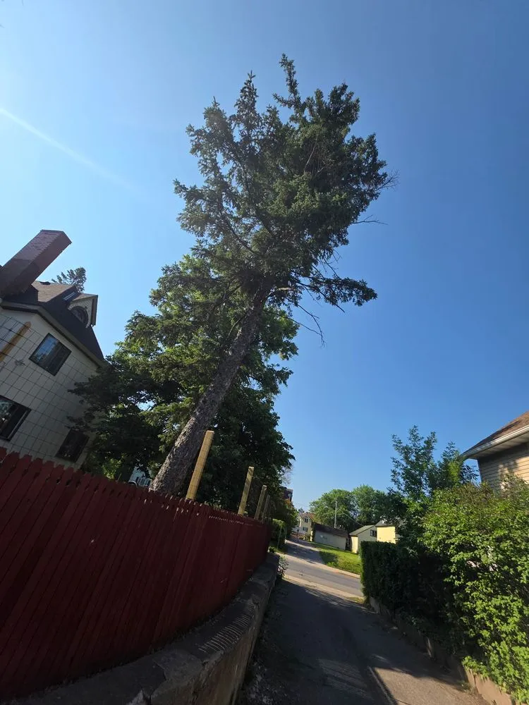 Top-rated residential landscaping experts serving Virginia, MN - Advanced Tree Care And landscaping