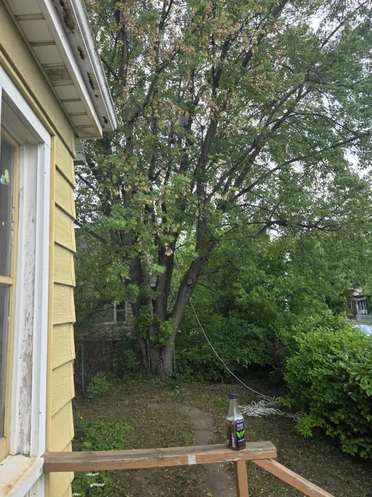 Expert garden landscaping experts serving Virginia, MN - Advanced Tree Care And landscaping