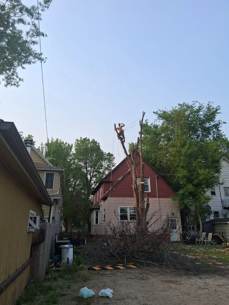 Local lawn mowing service experts serving Virginia, MN - Advanced Tree Care And landscaping