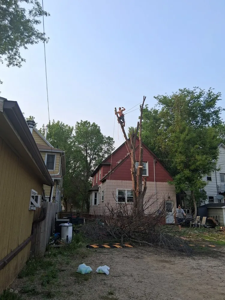 Custom lawn care service for residential properties across Virginia, MN - Advanced Tree Care And landscaping