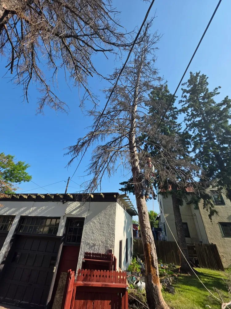 Custom outdoor landscaping in Virginia, MN by Advanced Tree Care And landscaping