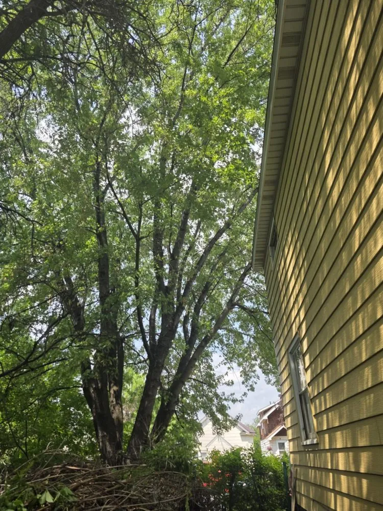 Local residential landscaping for outdoor upgrades across Virginia, MN - Advanced Tree Care And landscaping