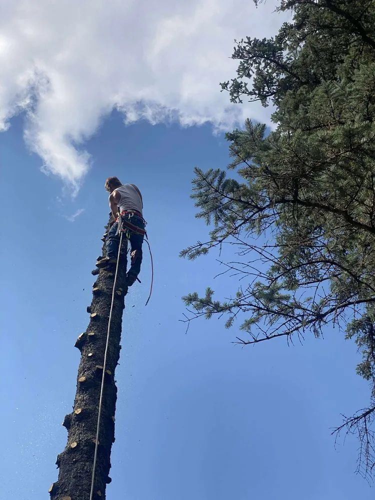 Trusted lawn care service with custom design across Virginia, MN - Advanced Tree Care And landscaping