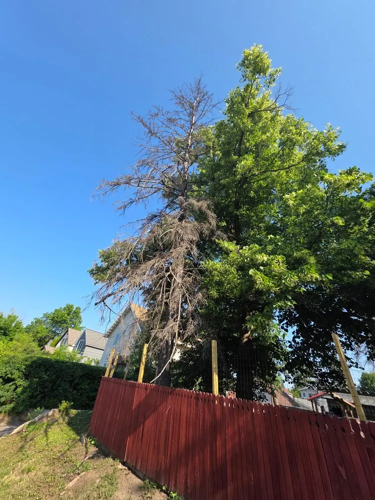 Custom landscape design in Virginia, MN by Advanced Tree Care And landscaping