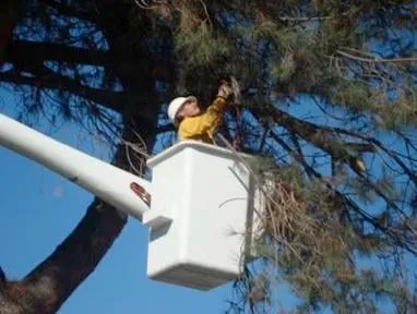 Reliable outdoor landscaping for residential properties across Salt Lake City, UT - Advanced Tree